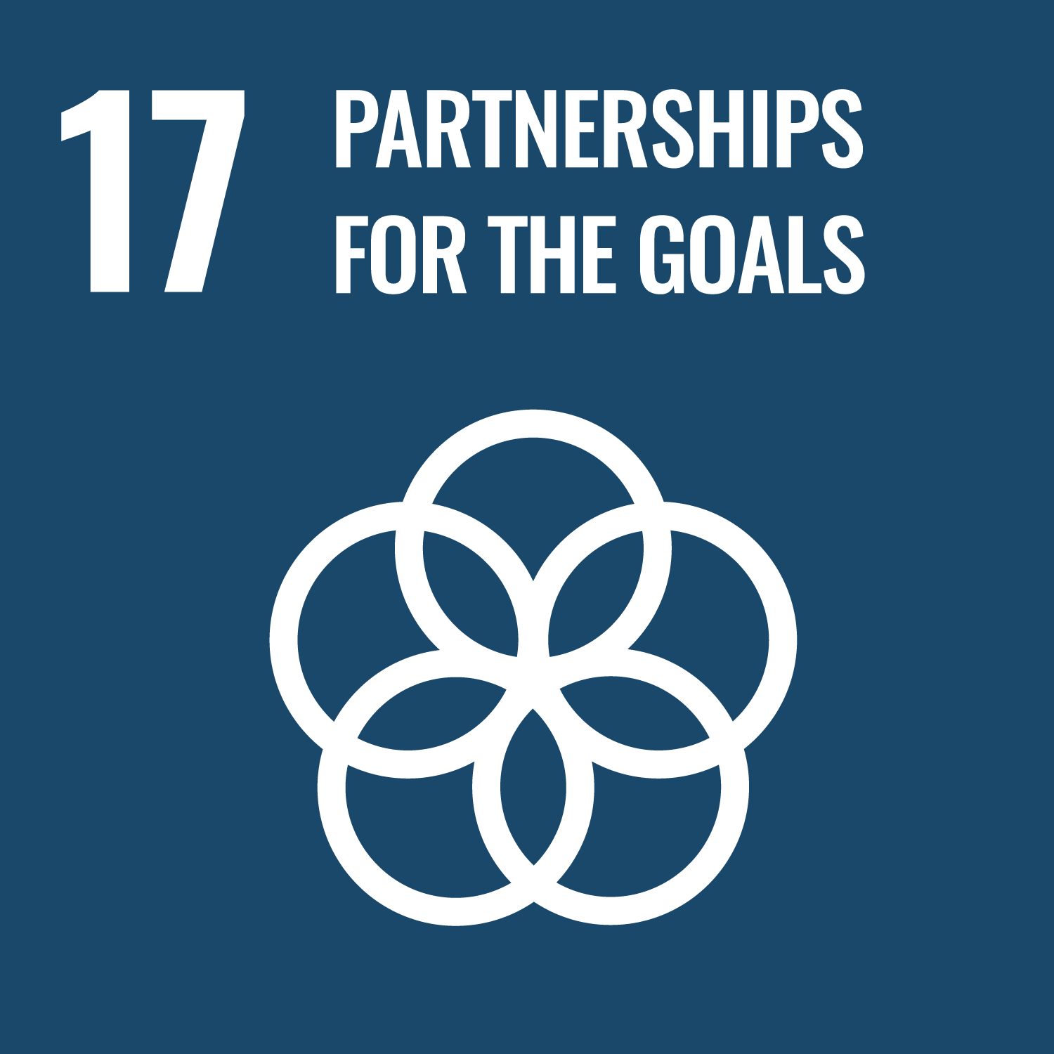 17 - Partnerships to achieve the Goal
